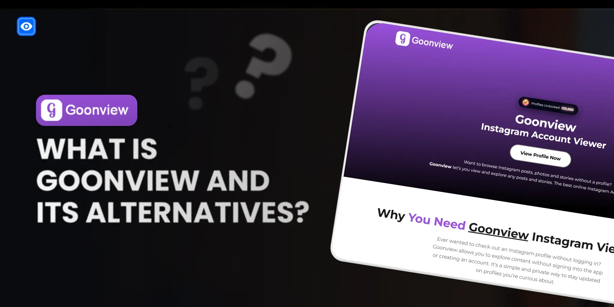 Goonview website review Goonview website review