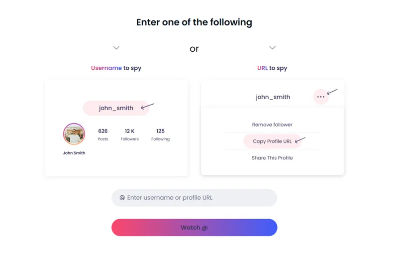 Using Peekviewer to save private Instagram content. Enter the Instagram username or profile link of the account.