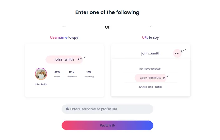 Using Peekviewer to save private Instagram content. Enter the Instagram username or profile link of the account.
