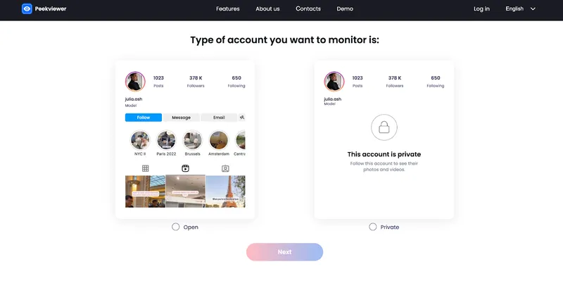 How to use Peekviewer Instagram like viewer: choosing account type