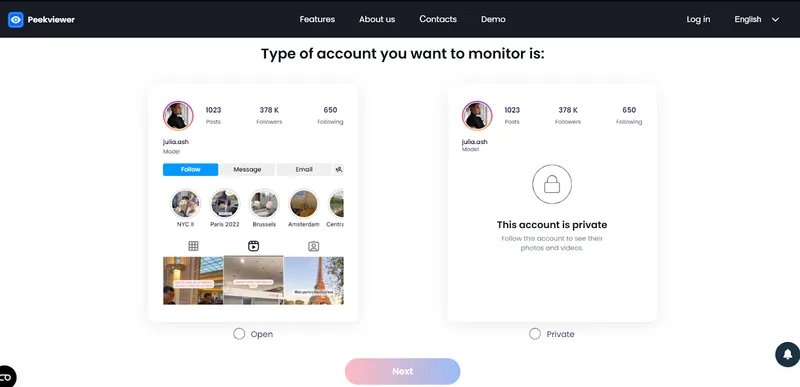 How to Use Peekviewer Blocked Instagram Account Viewer - choose account type