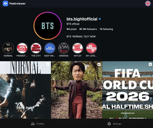 Peekviewer dashboard tracking Instagram profile picture history for a monitored account Peekviewer dashboard tracking Instagram profile picture history for a monitored account
