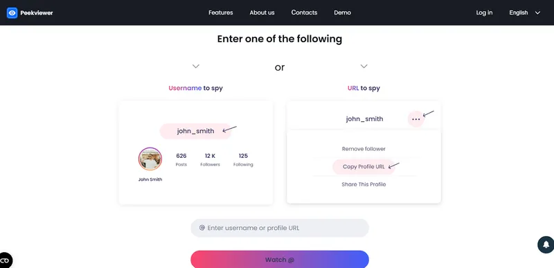 How to Use Peekviewer Blocked Instagram Account Viewer - enter username or url