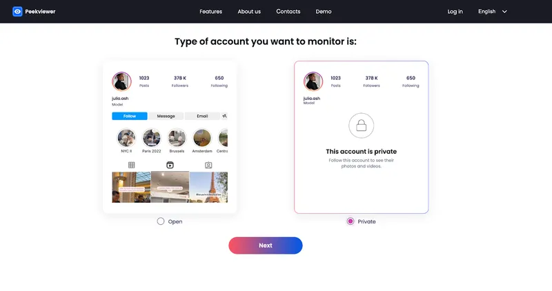 How to use Peekviewer: choosing IG account type