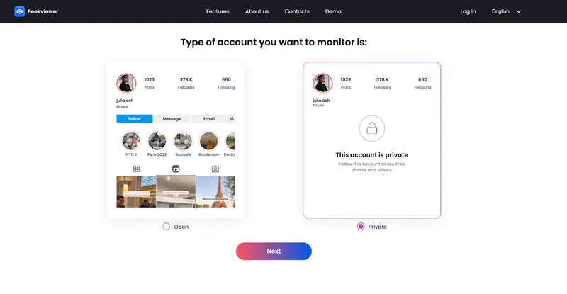 How to view Instagram comments with Peekviewer